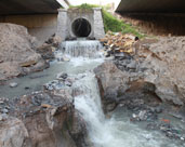 讓廢水變“活水”！鎮(zhèn)海再生水“養(yǎng)”出生態(tài)濕地公園